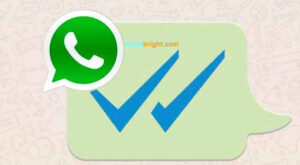 Bagaimana Mengetahui Bahwa WhatsApp Telah Dibaca Bahkan Dengan Centang Biru Dinonaktifkan