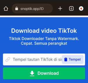 Cara Download Video Tiktok Tanpa Watermark Menggunakan Snaptik