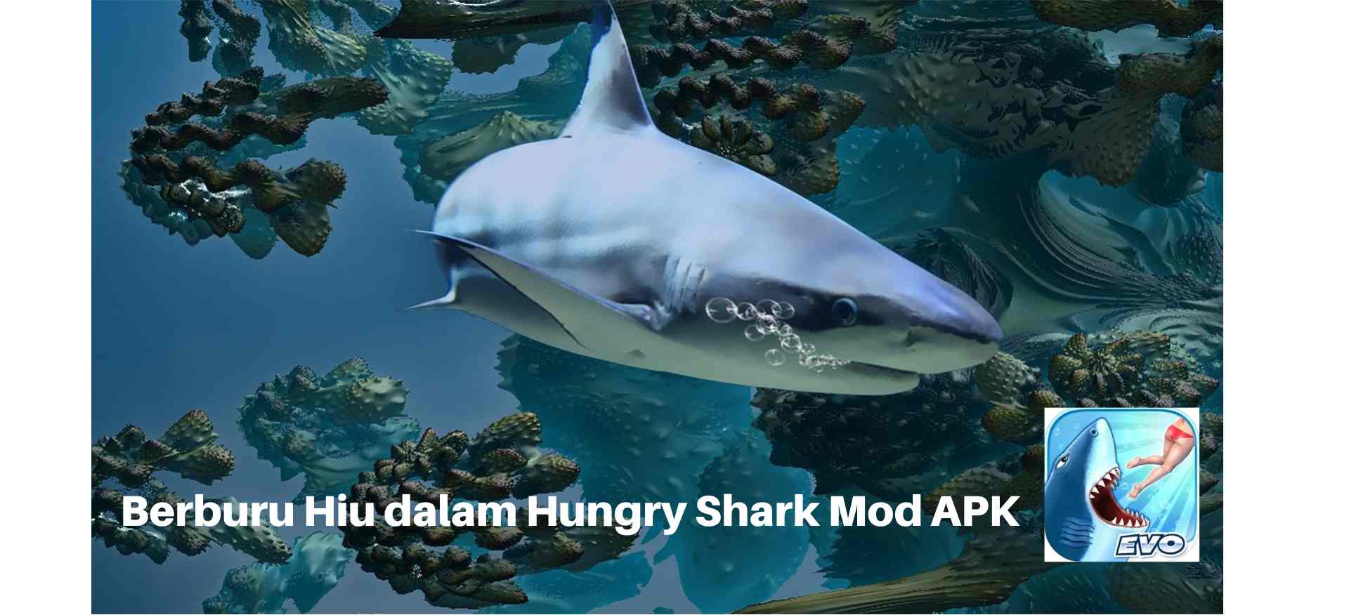 hungry shark mod apk