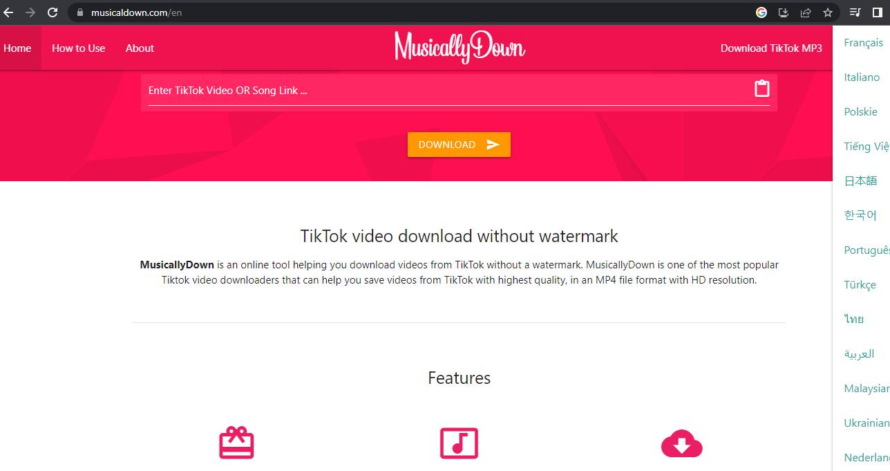 Tiktok downloader