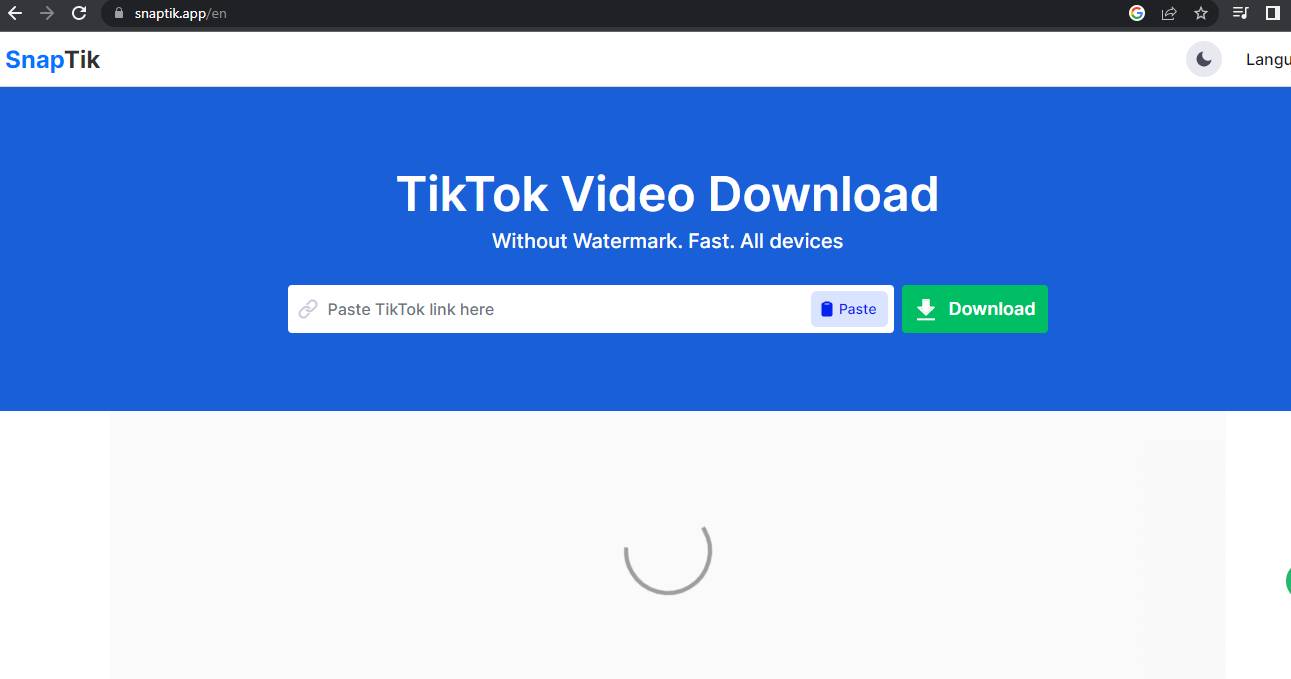 Tiktok downloader