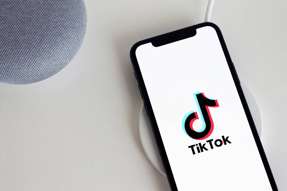 Tiktok downloader